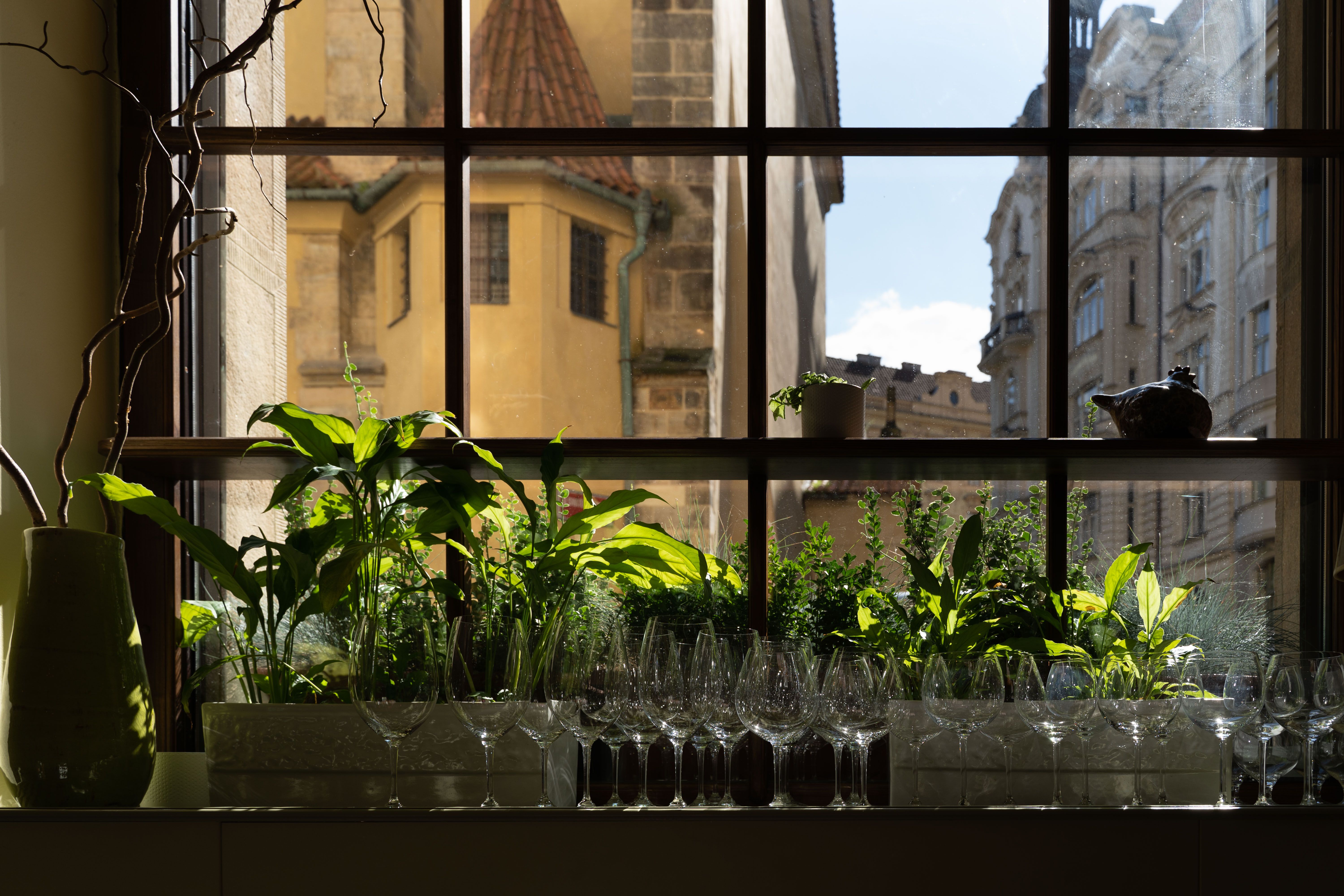 Jahodové opojení v LA VERANDA