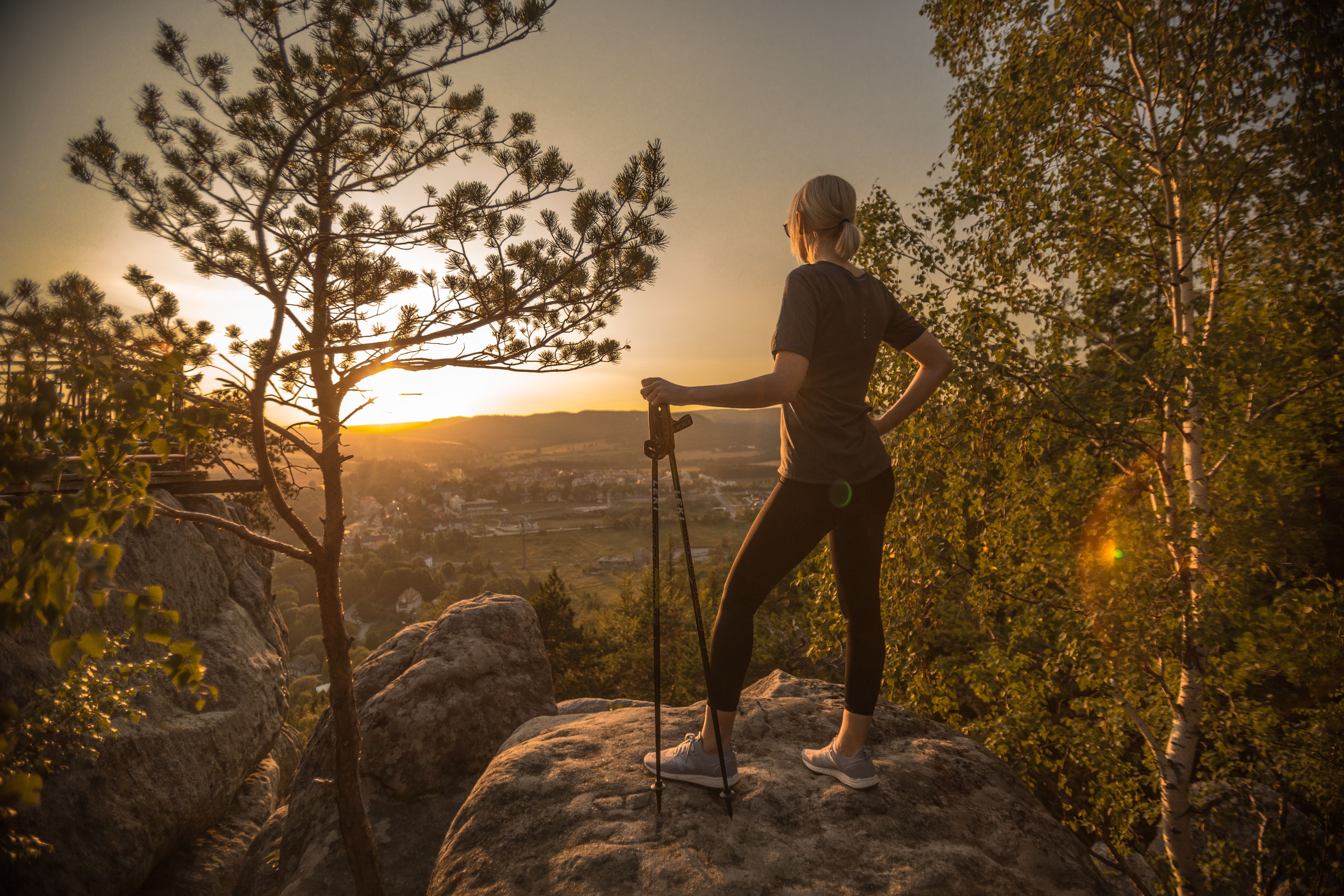 Blahodárná pohlazení lesa