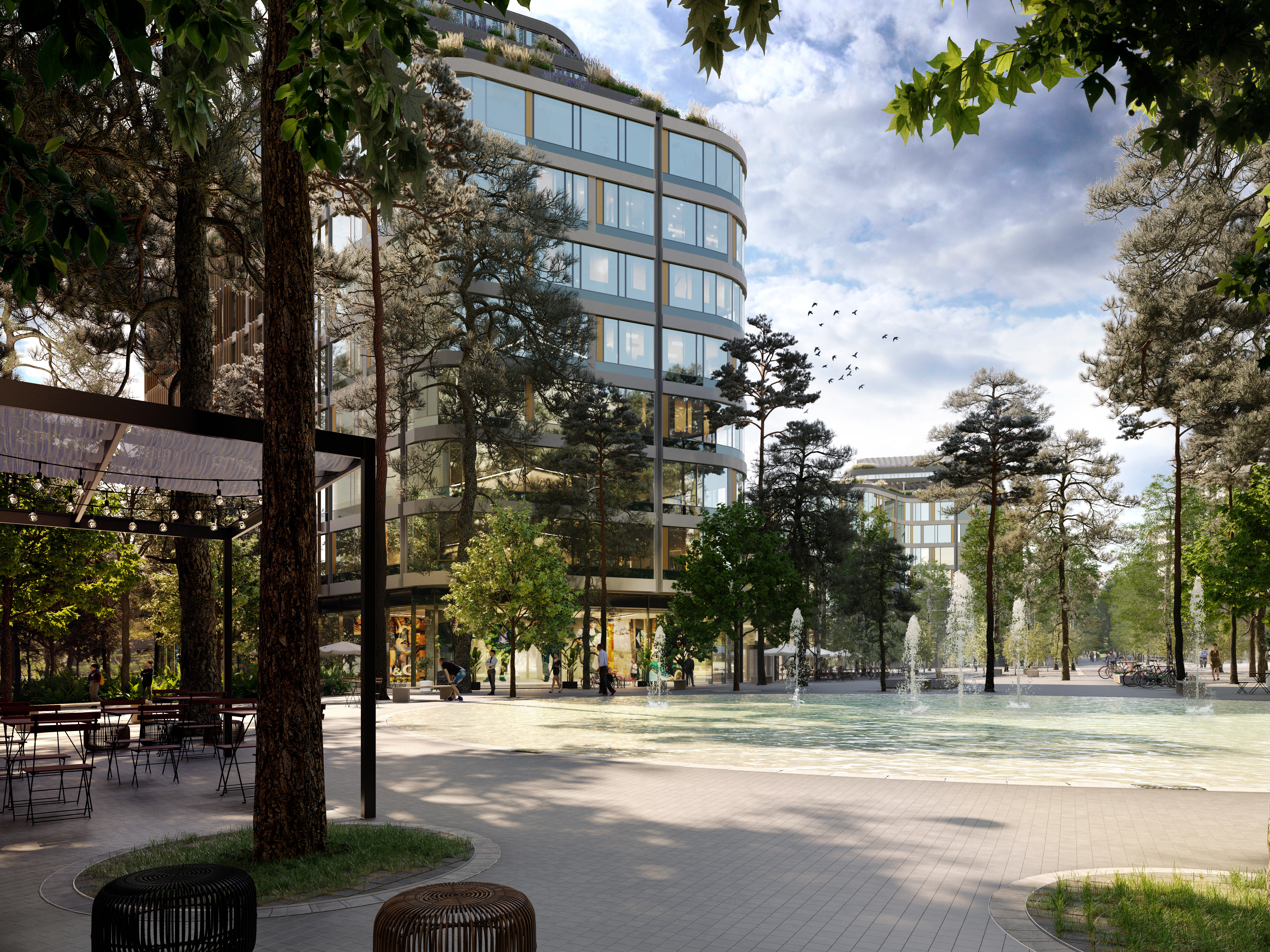 Gamma will Shine in Hagibor