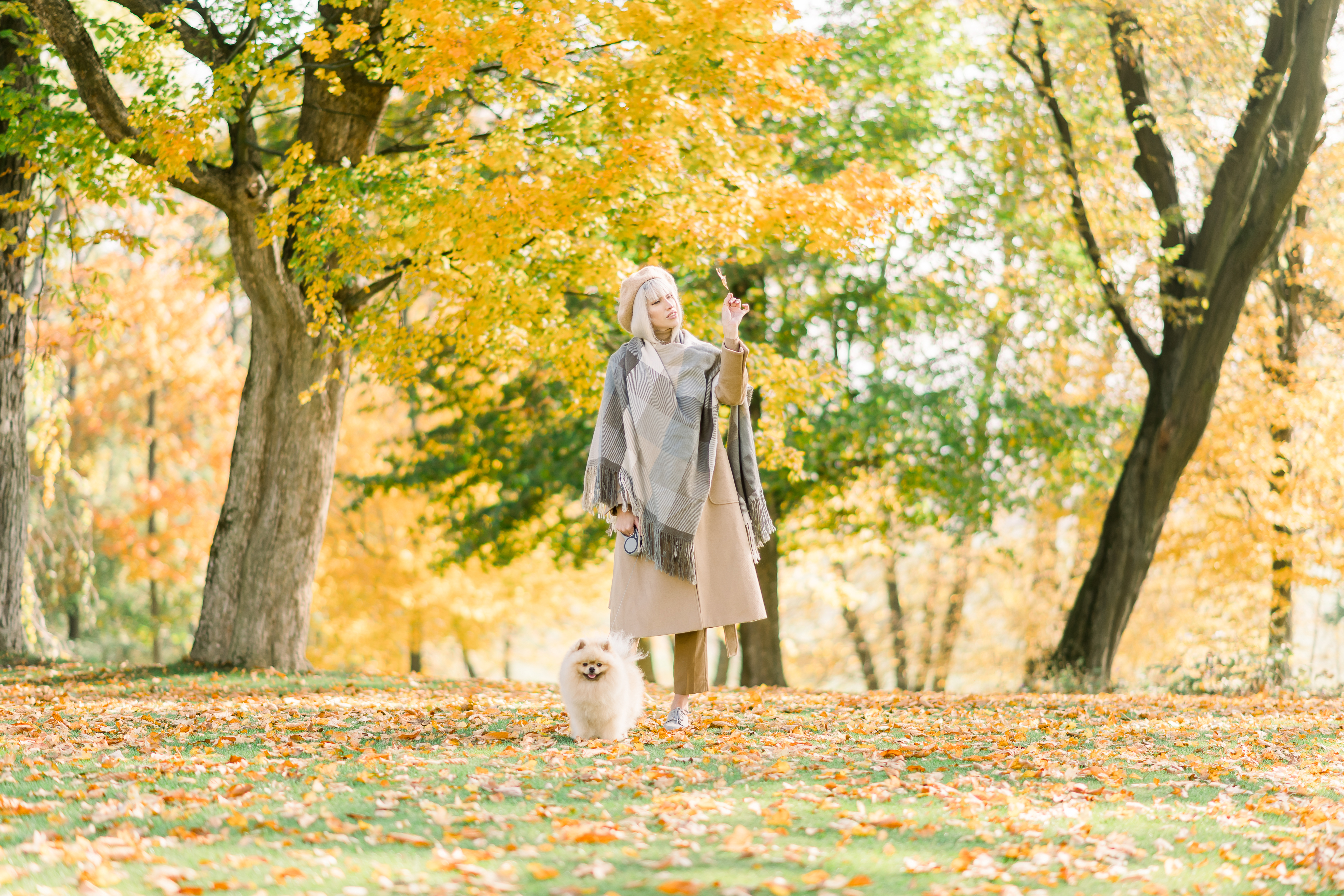 MULTICOLOURED AUTUMN AT CHATEAU MCELY