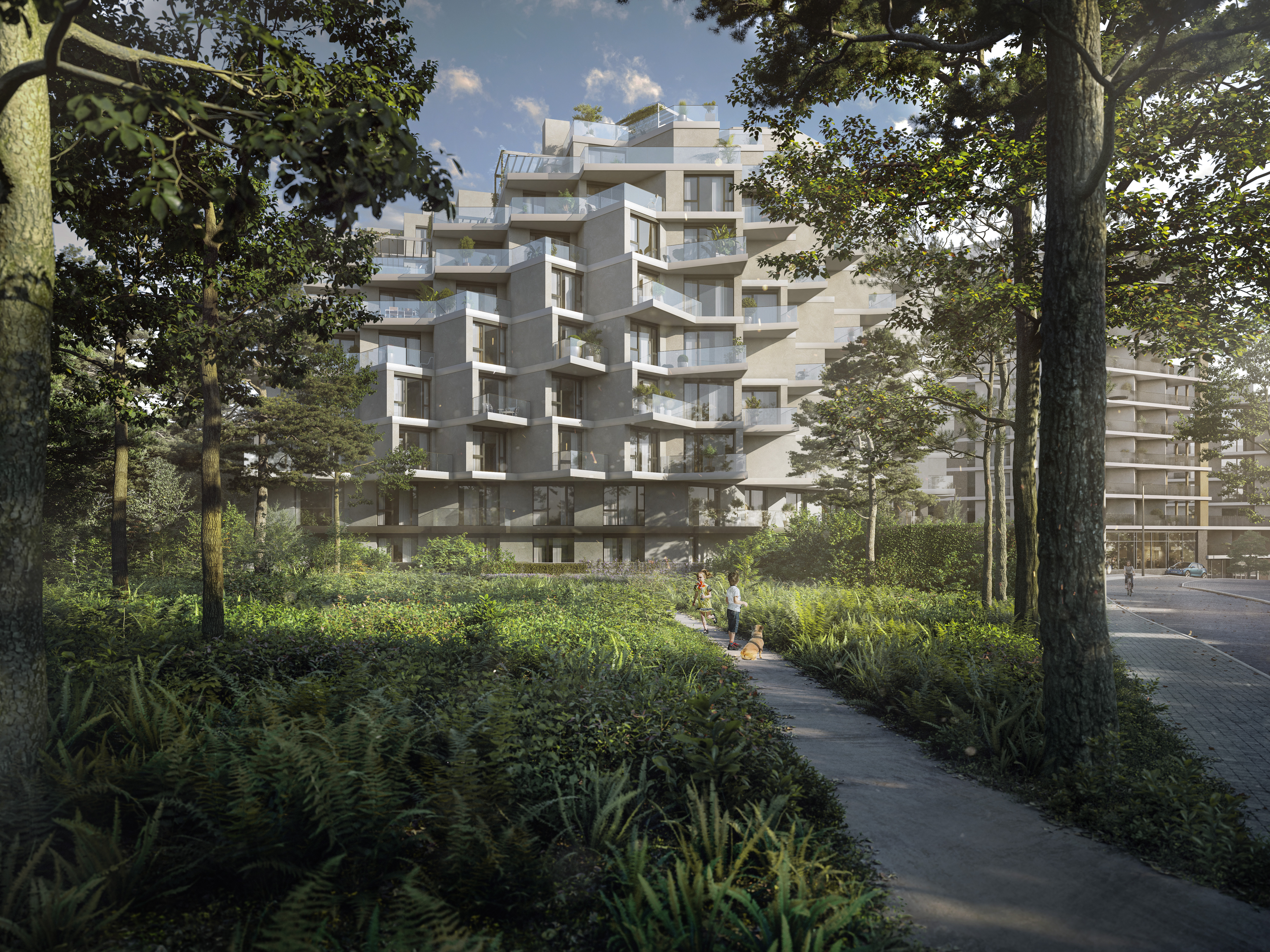 A Complete District is being Created at Hagibor