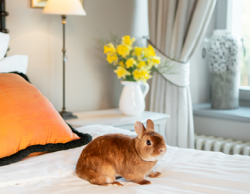 Château Easter in the Rhythm of Spring