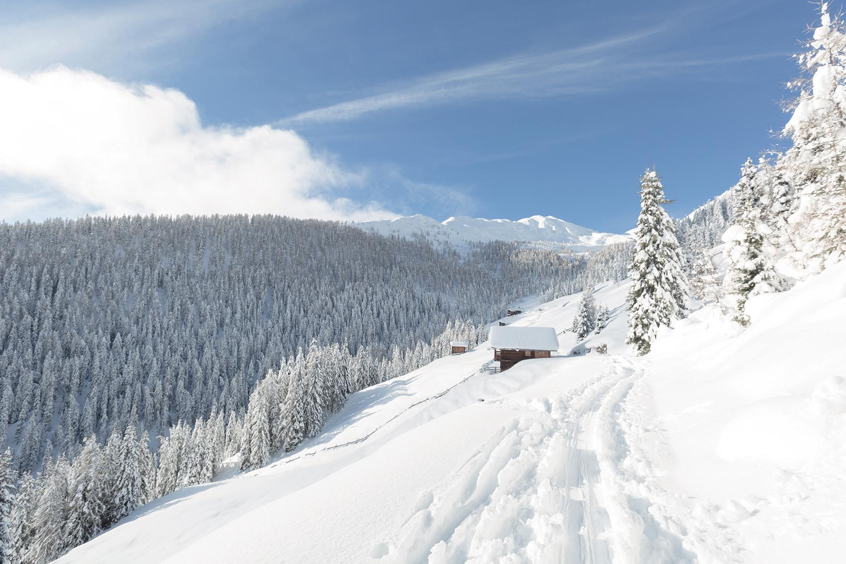 A Blend of Nature and Comfort