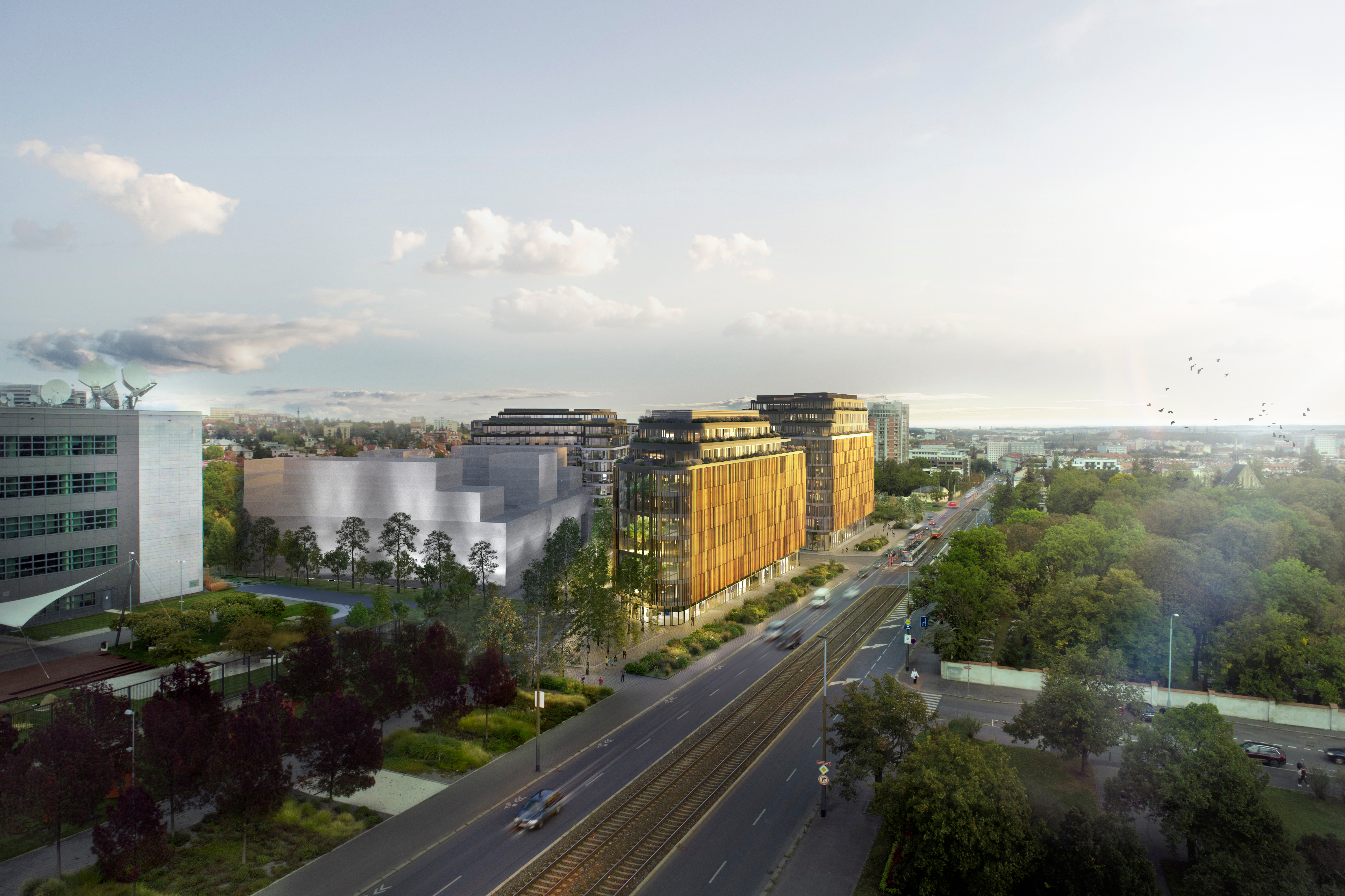 Gamma will Shine in Hagibor