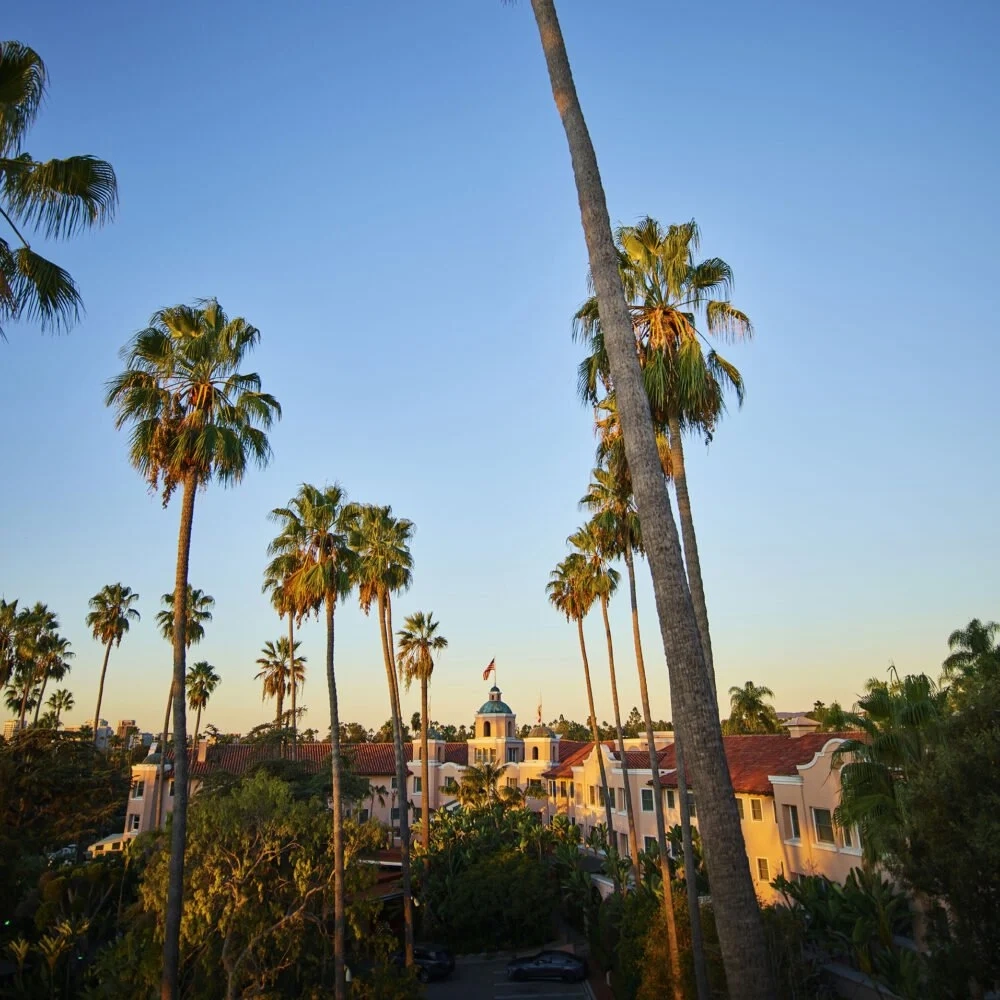 Jako hollywoodská hvězda