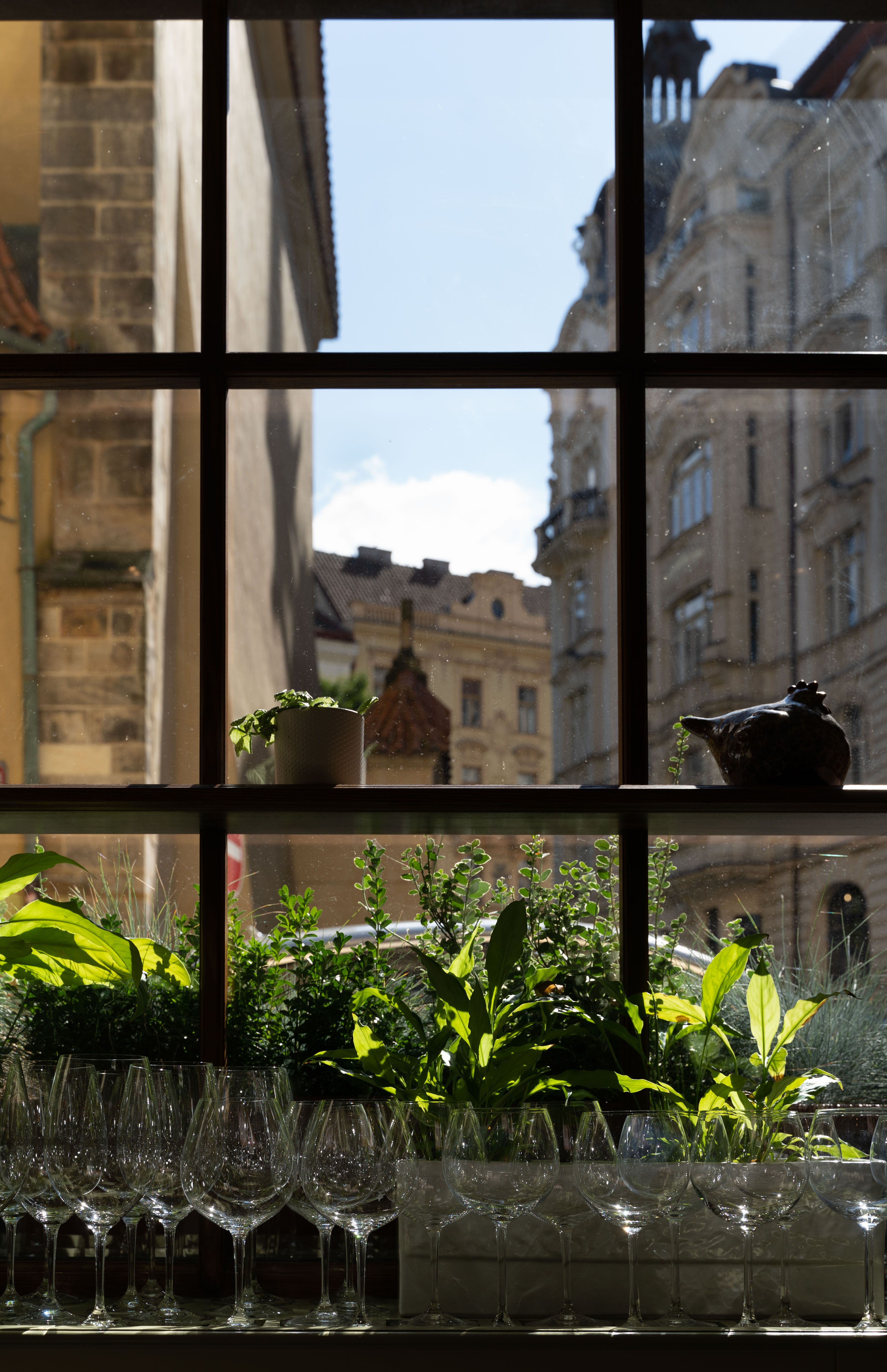 Jahodové opojení v LA VERANDA
