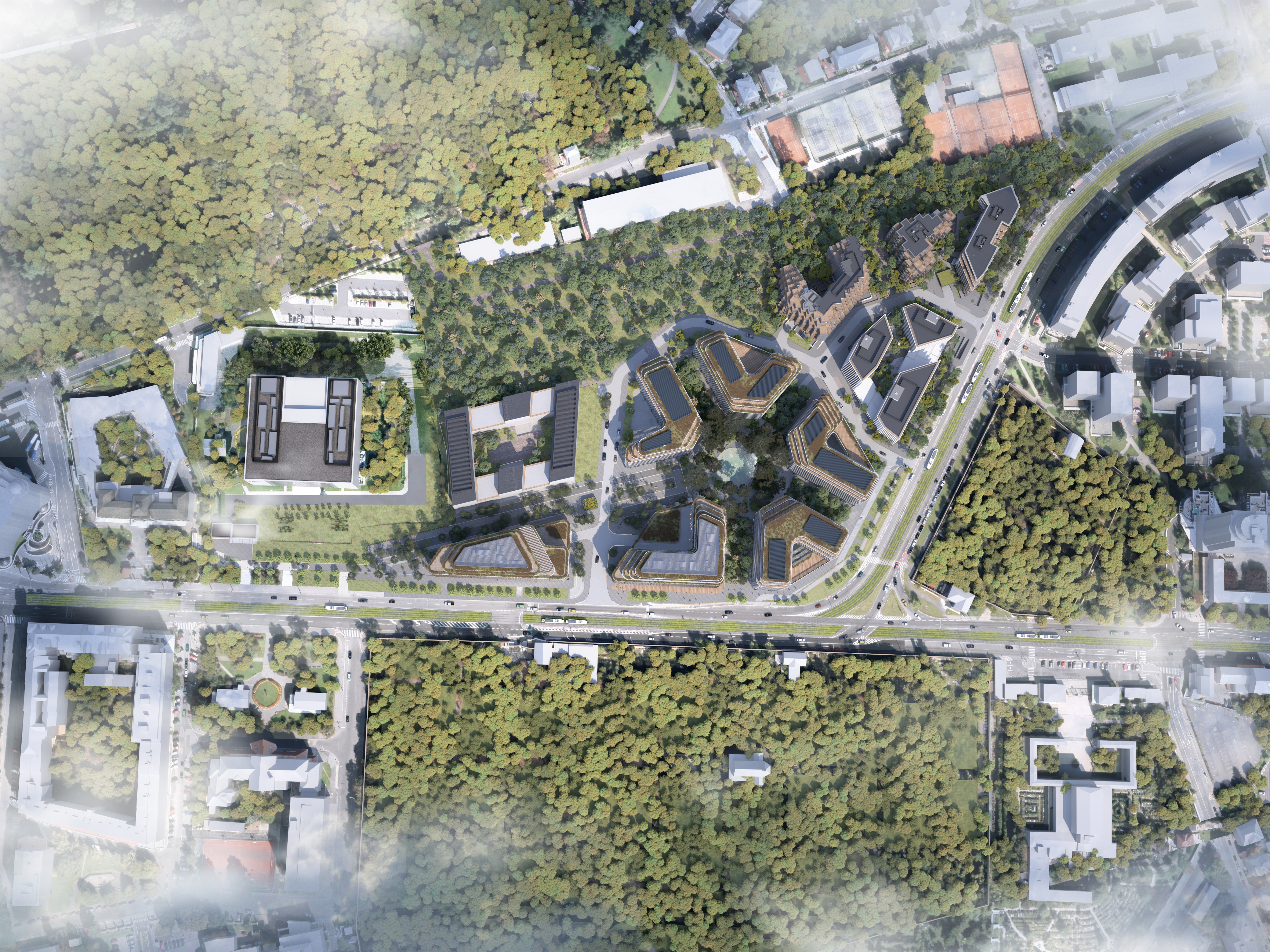 Gamma will Shine in Hagibor