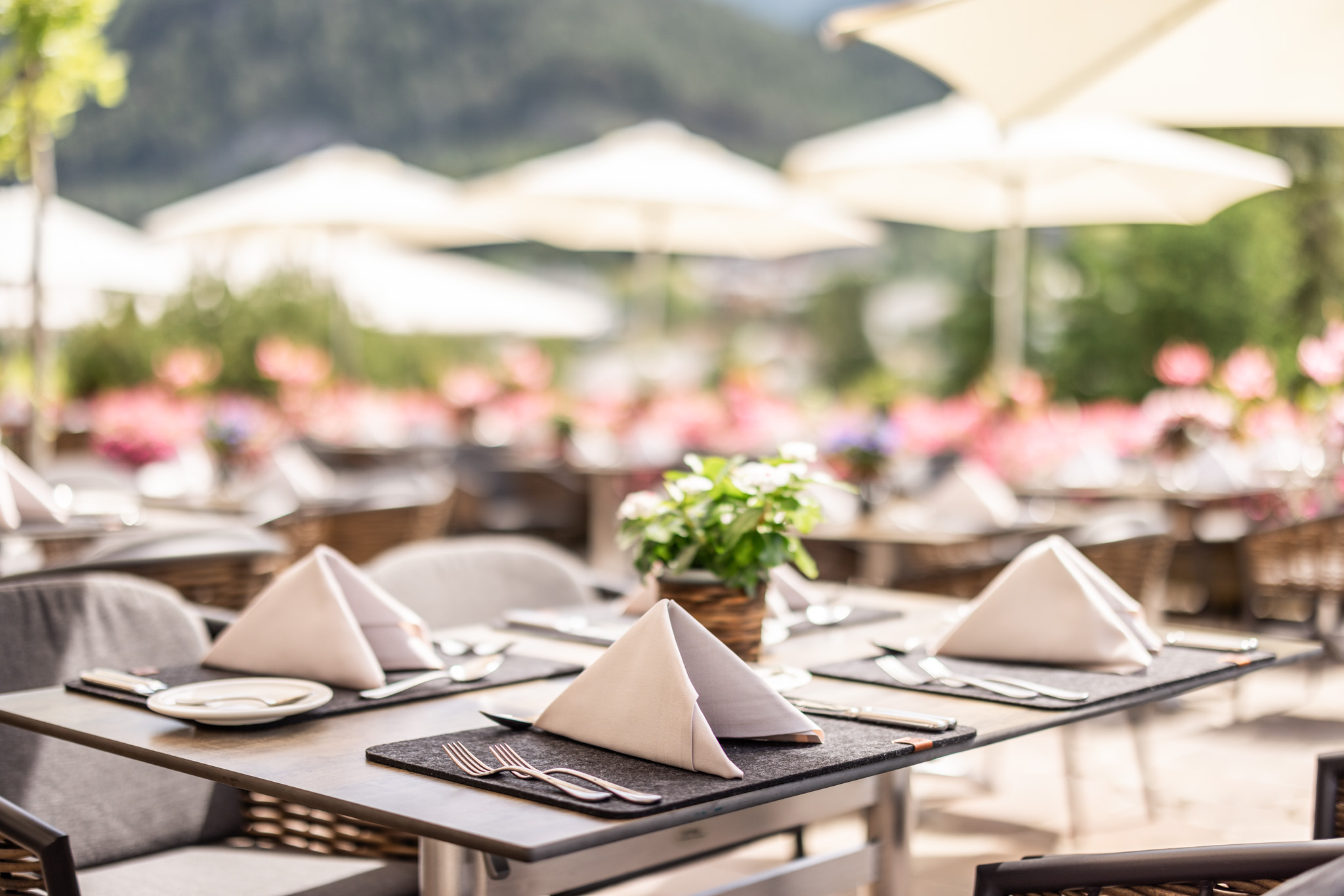 Luxuriously Energetic Tyrol