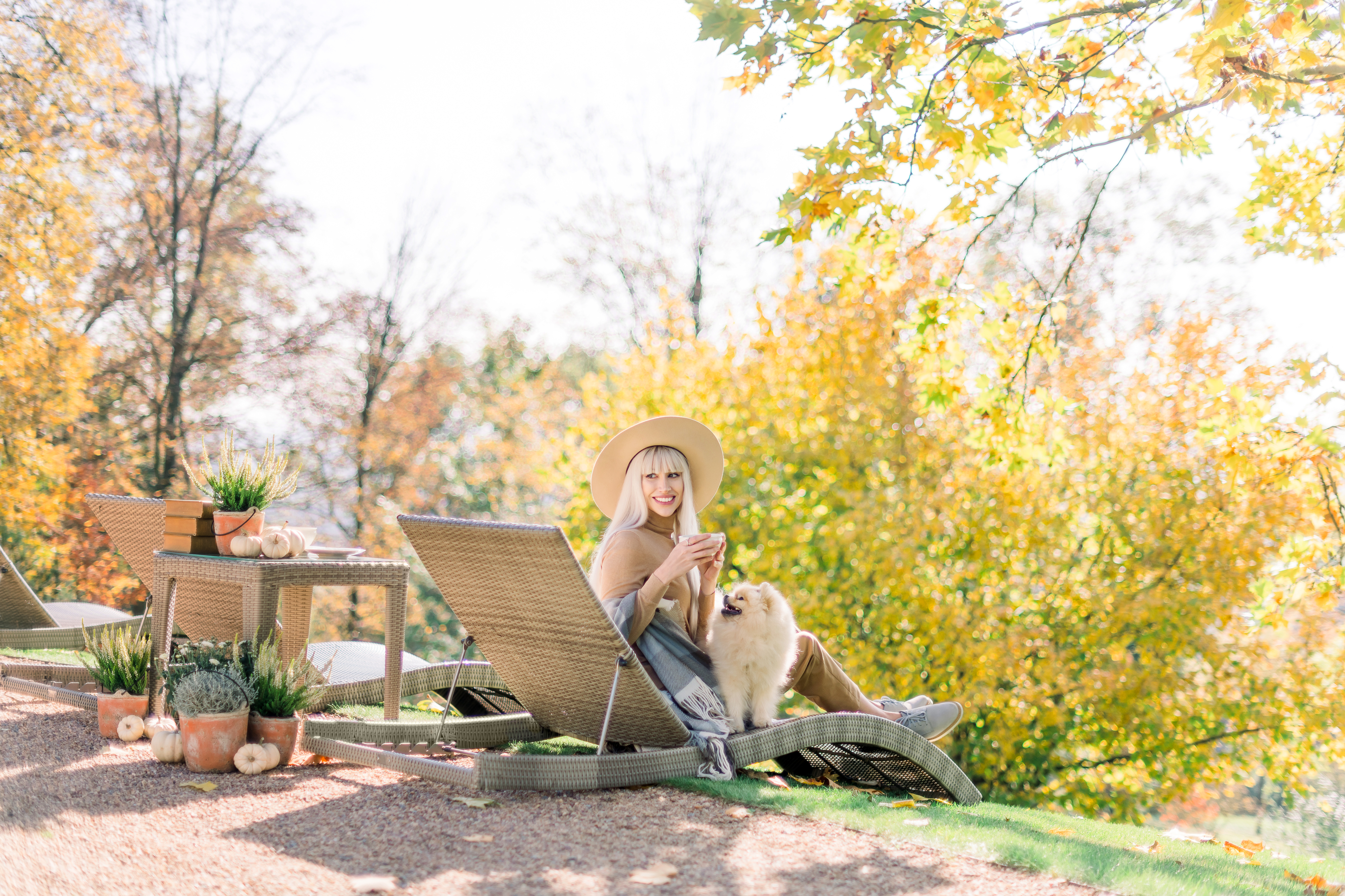 MULTICOLOURED AUTUMN AT CHATEAU MCELY