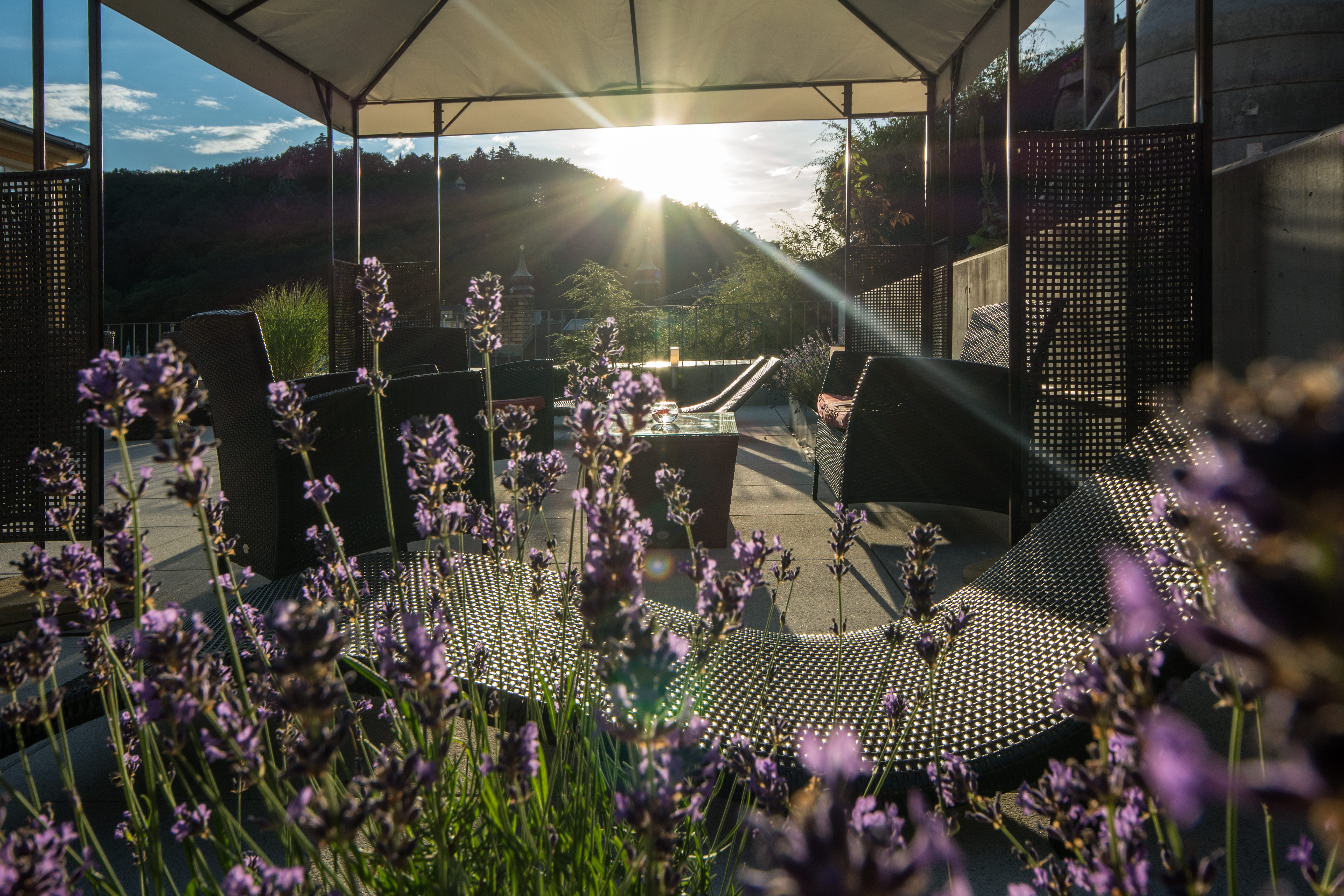 Invitation for Relaxation with a President