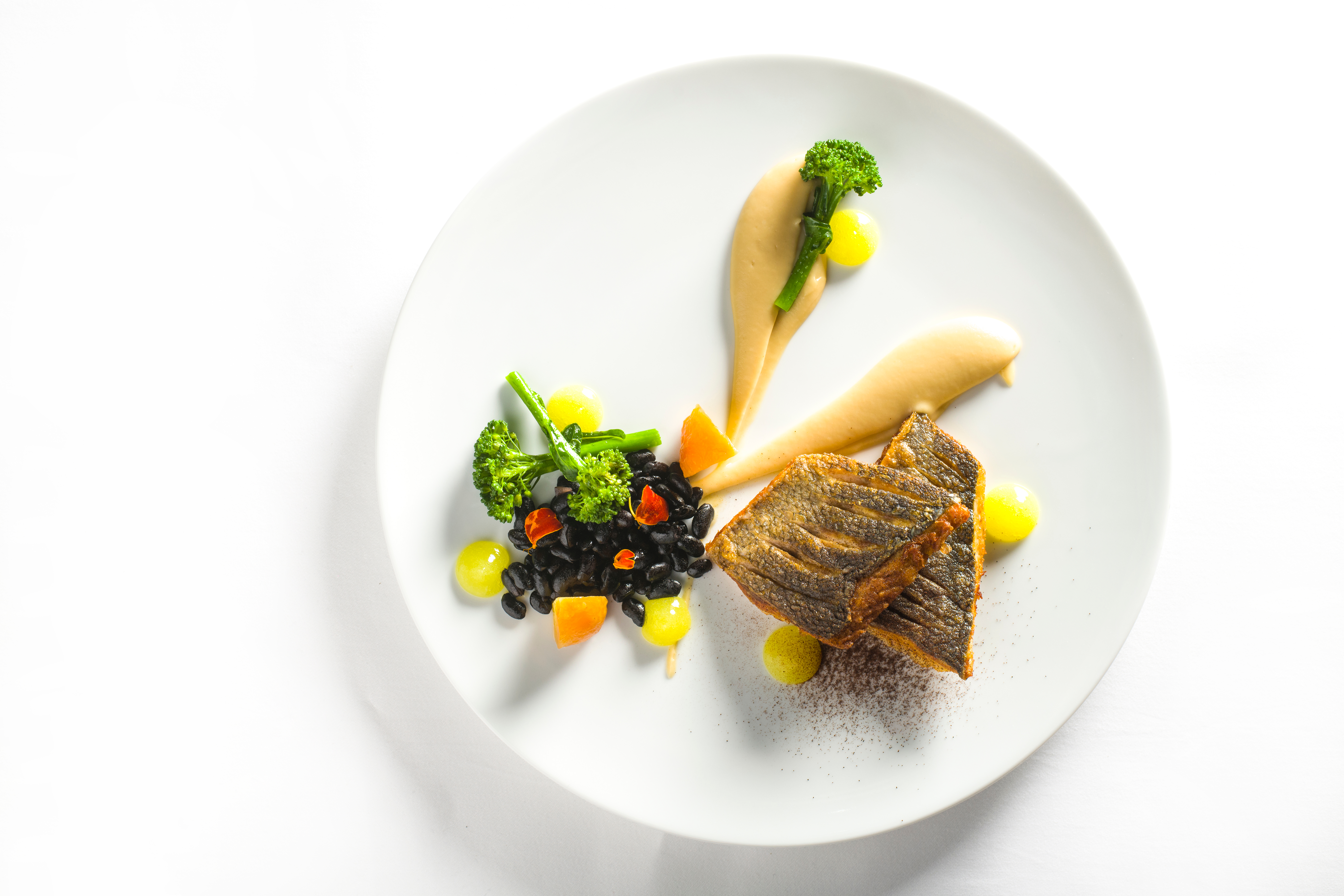 Blahodárná pohlazení lesa