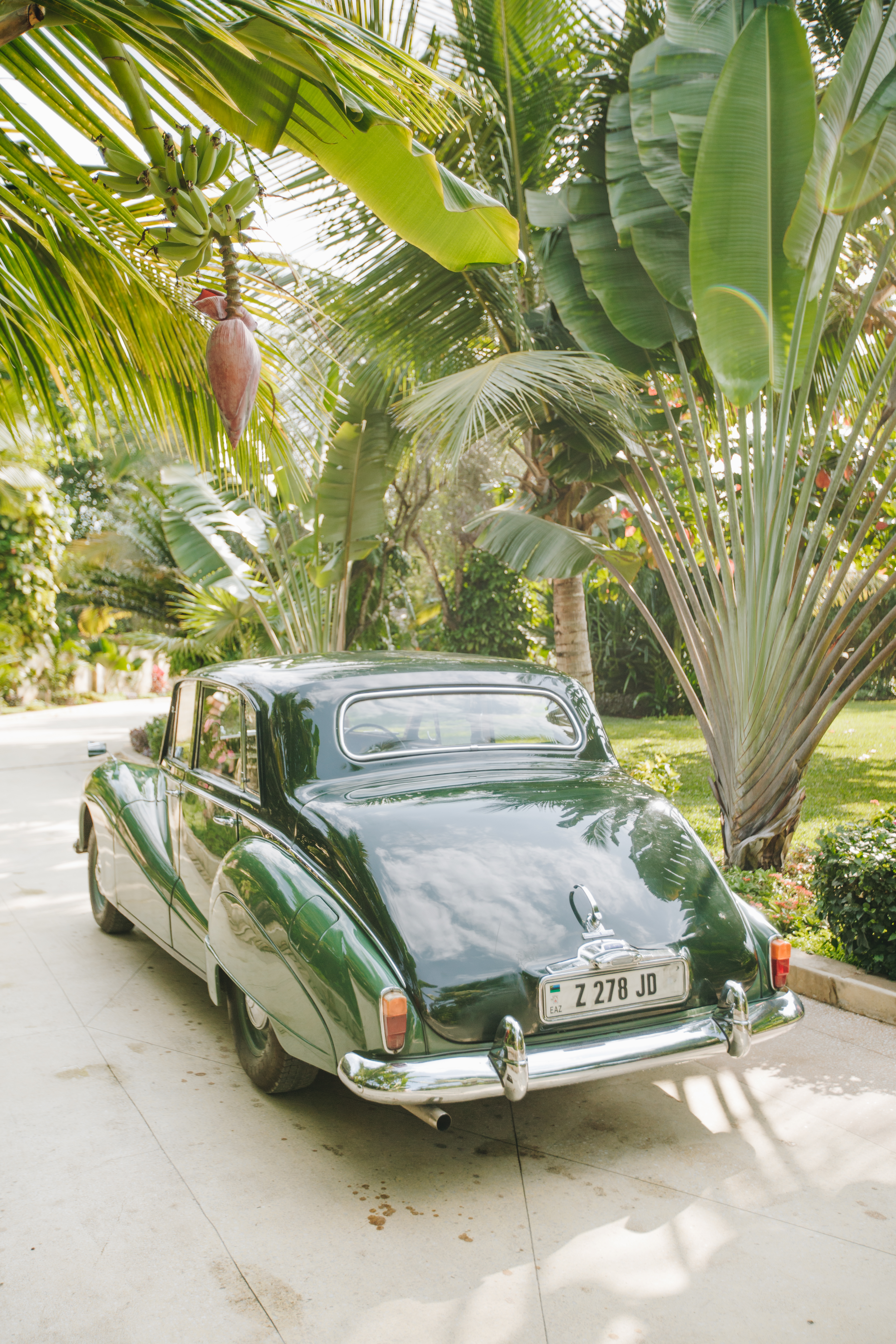 Magical Island Paradise