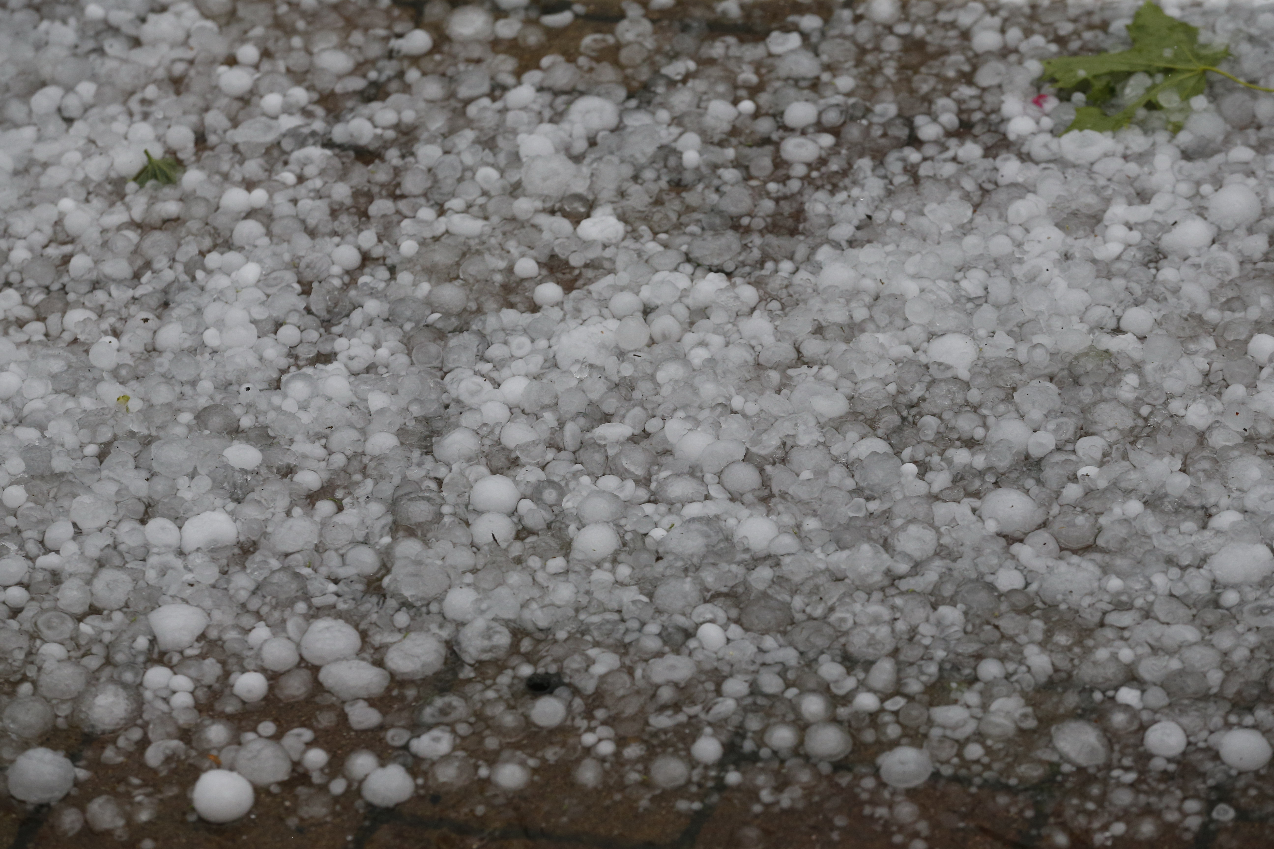 7th year of Real-Treuhand & Travel Fever Golf Cup 2021