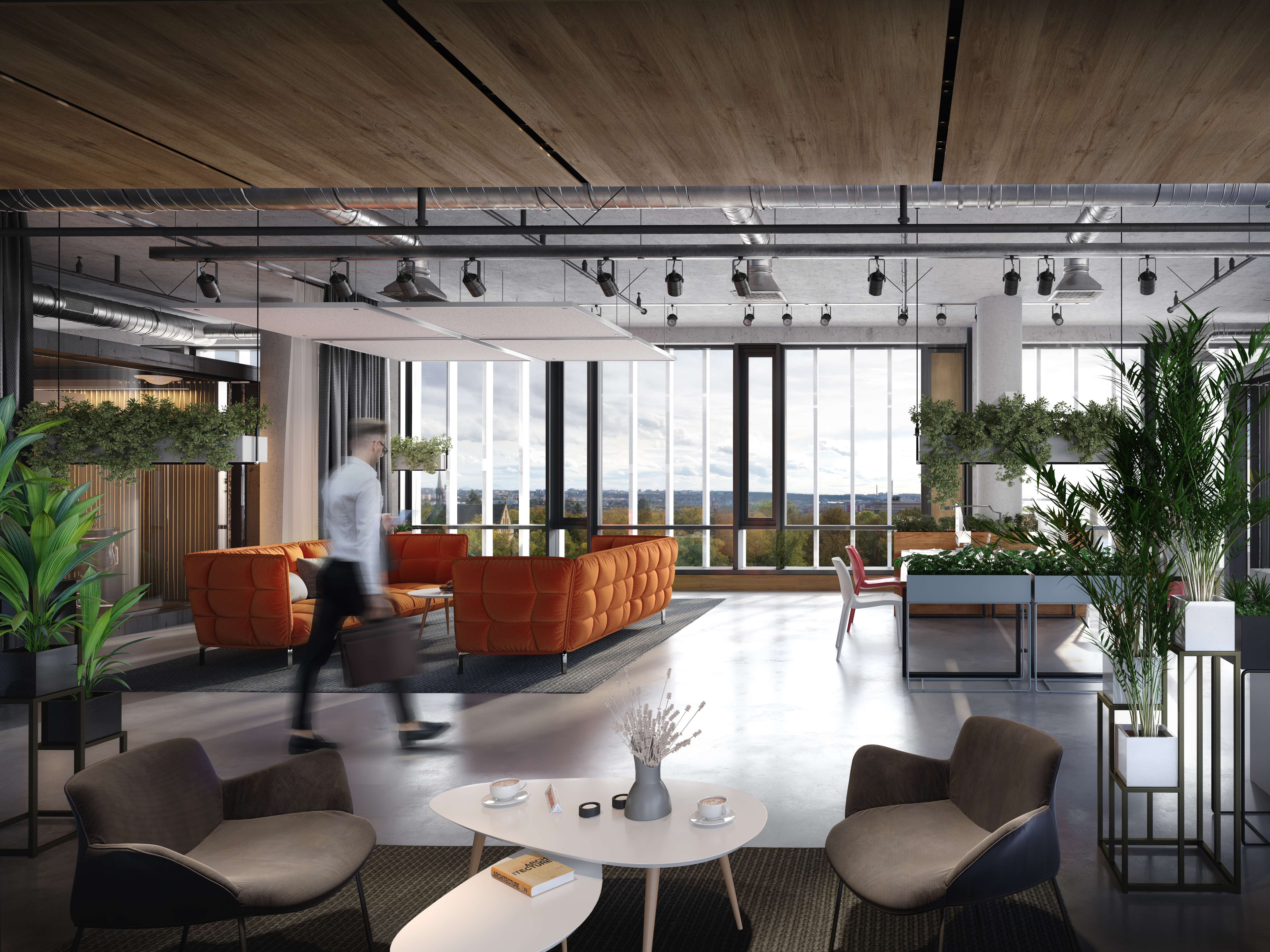 Gamma will Shine in Hagibor