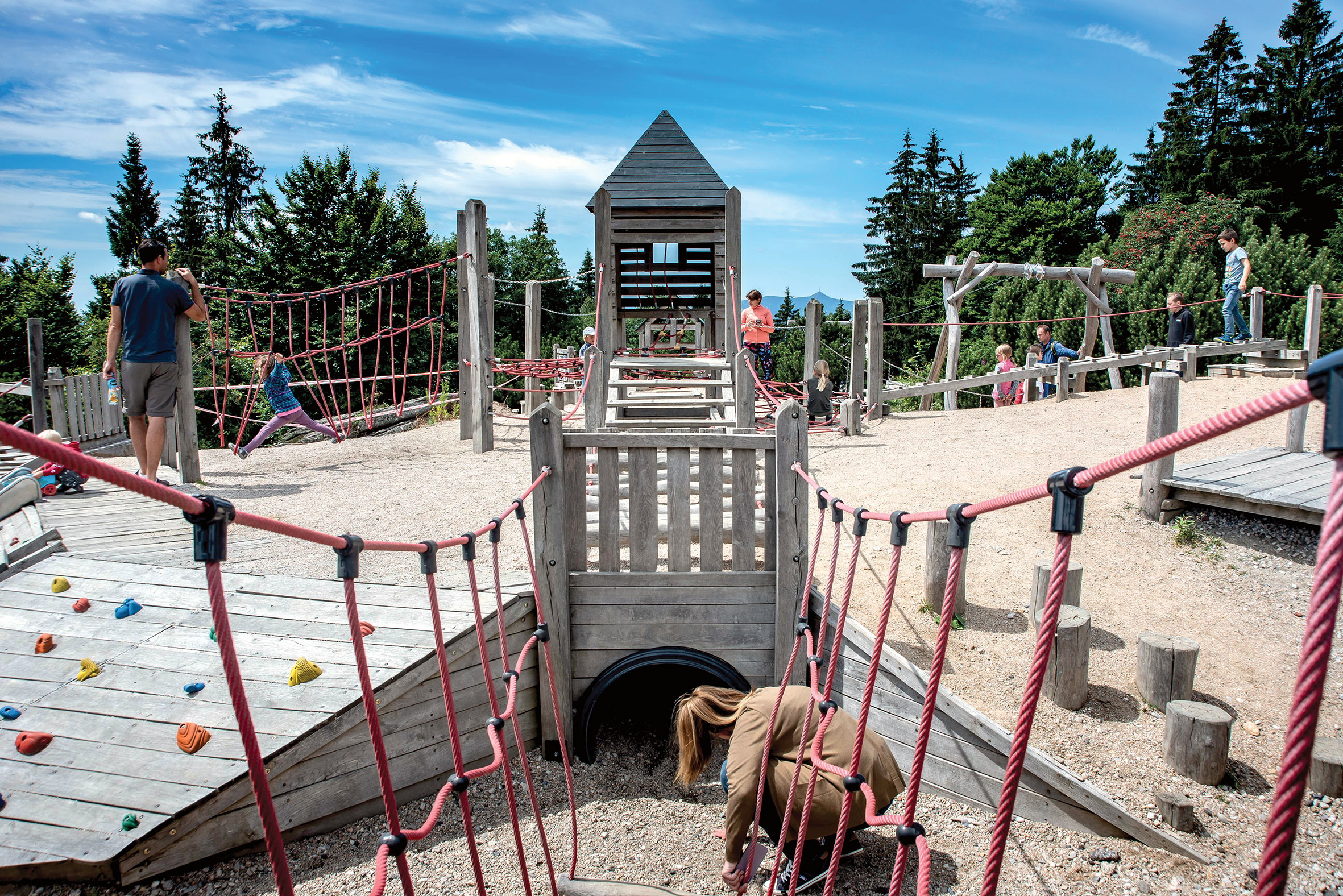 Energy and Peace from the Depths of the Woods