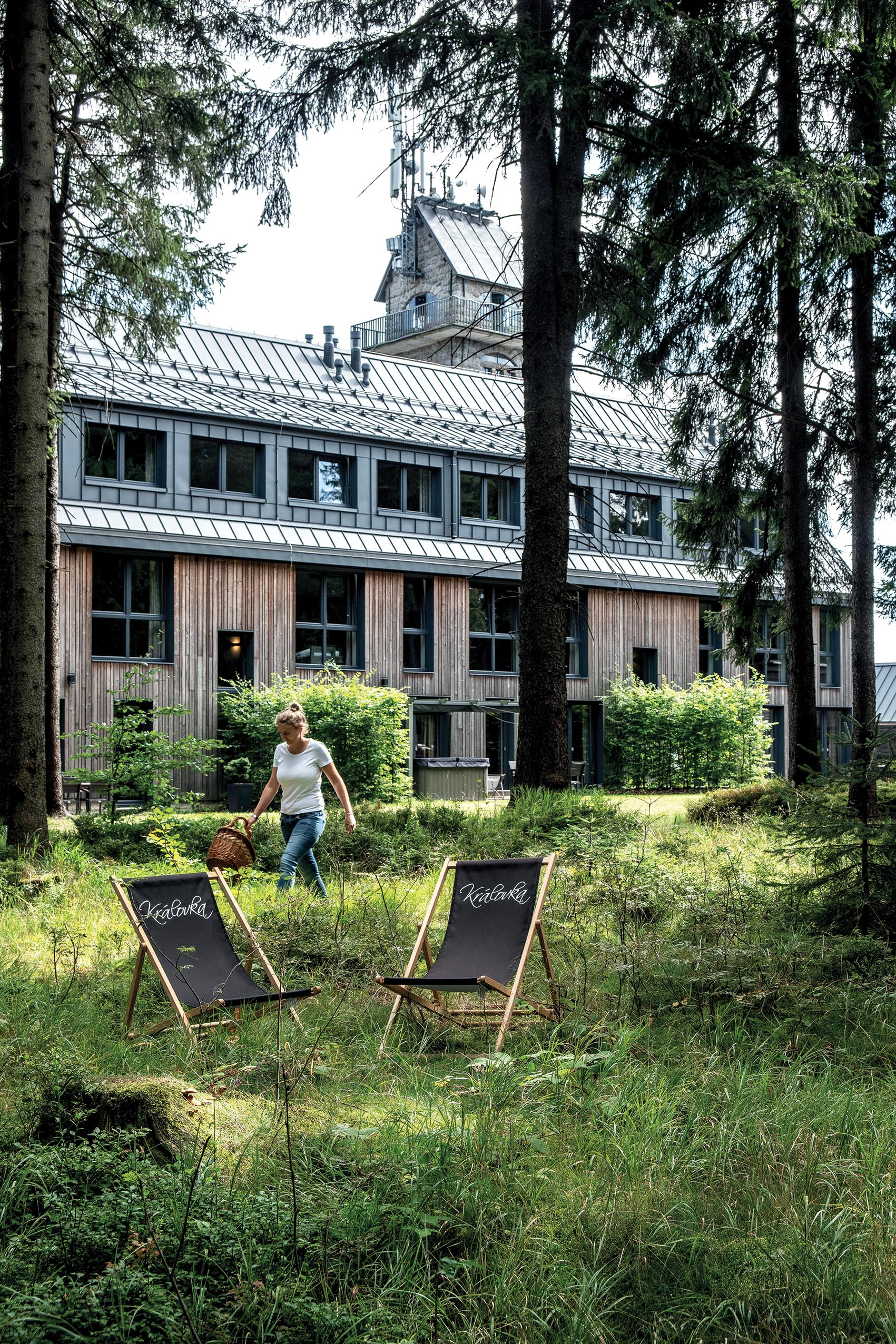 Energie a klid z hloubi lesů