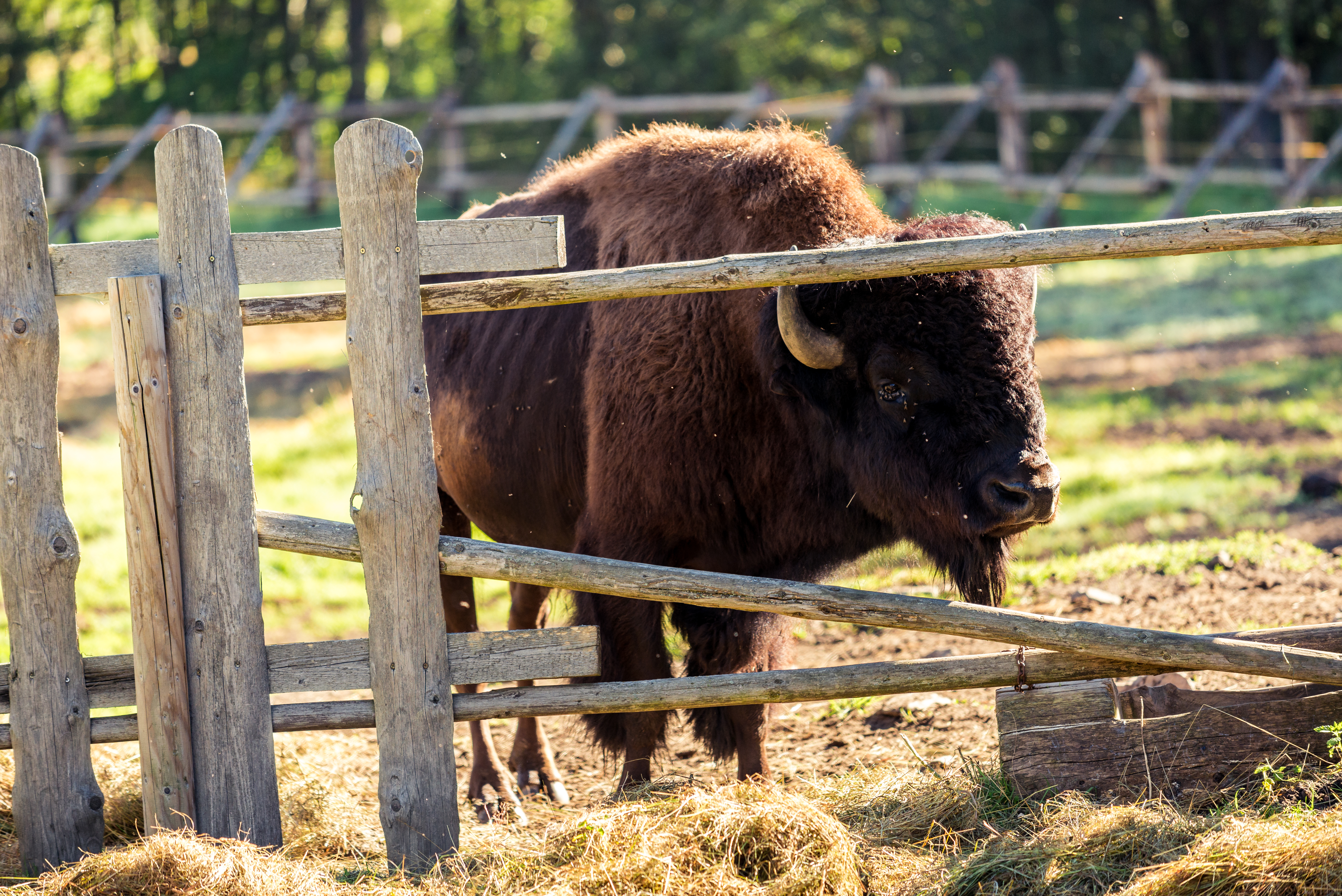 Wellness hotel Chalupa