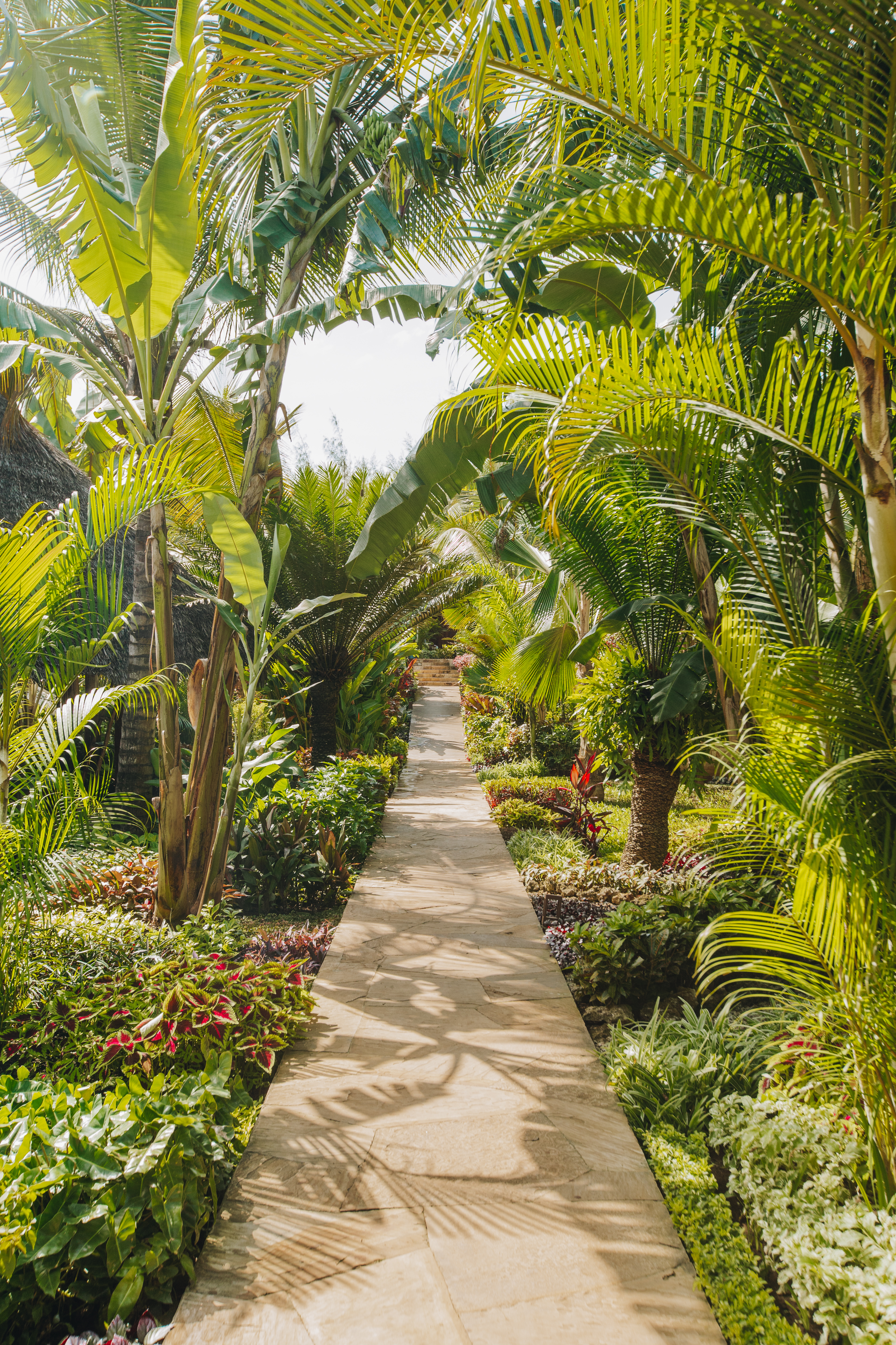 Magical Island Paradise