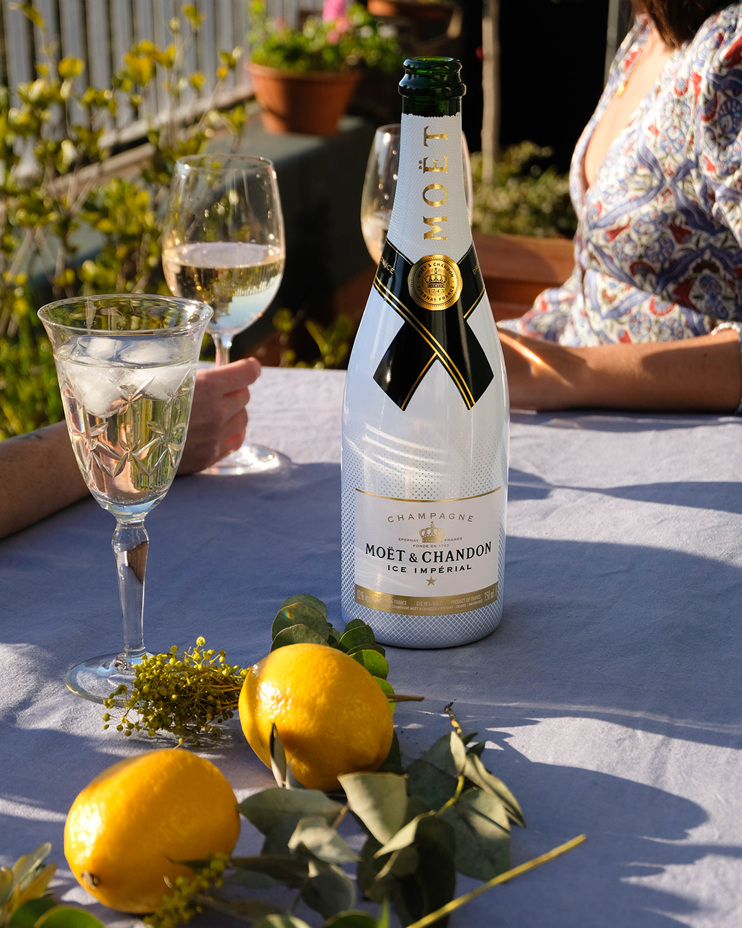 Sparkling Summer in a Glass