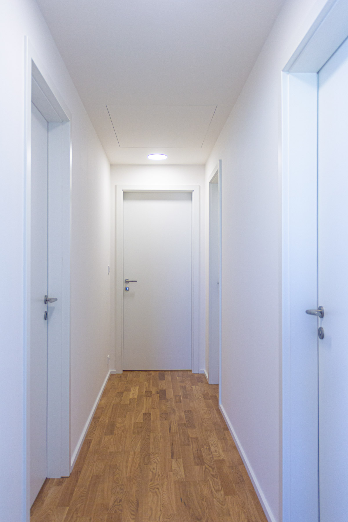 Imaginative Revival of Palmovka 