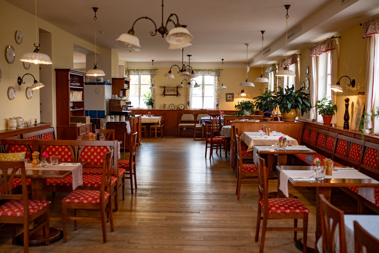 St. Martin’s Goose at Babiččina zahrada: Unforgettable Authentic Taste 