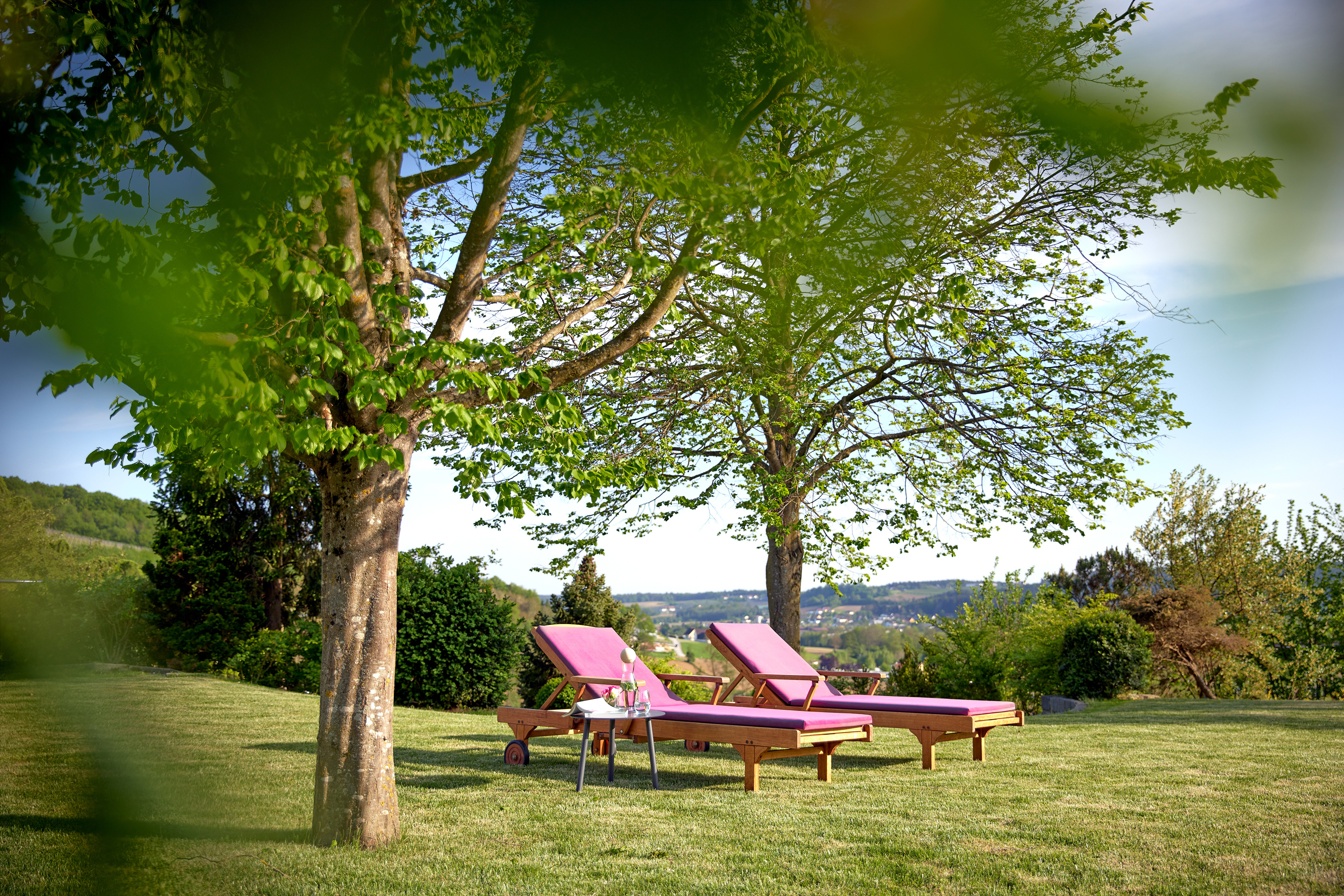 The Treasures of Ayurveda