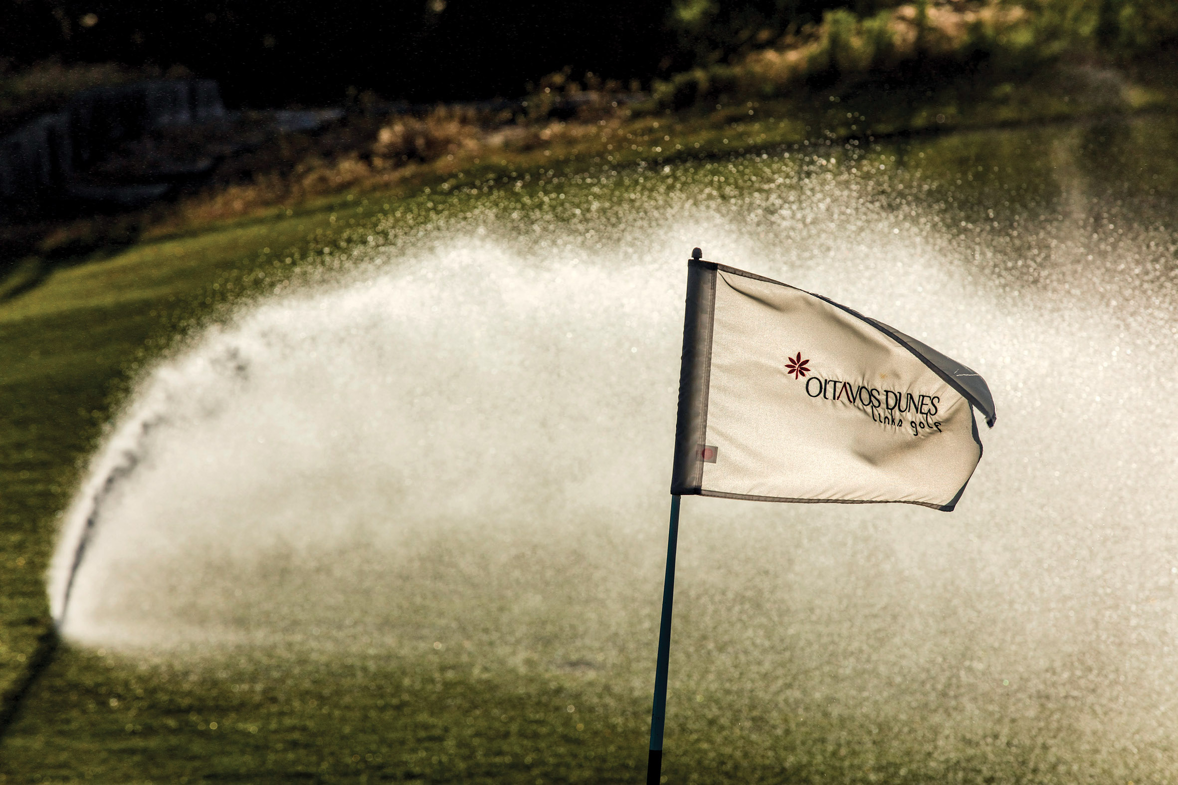 Golf, Relaxation and the Ocean 