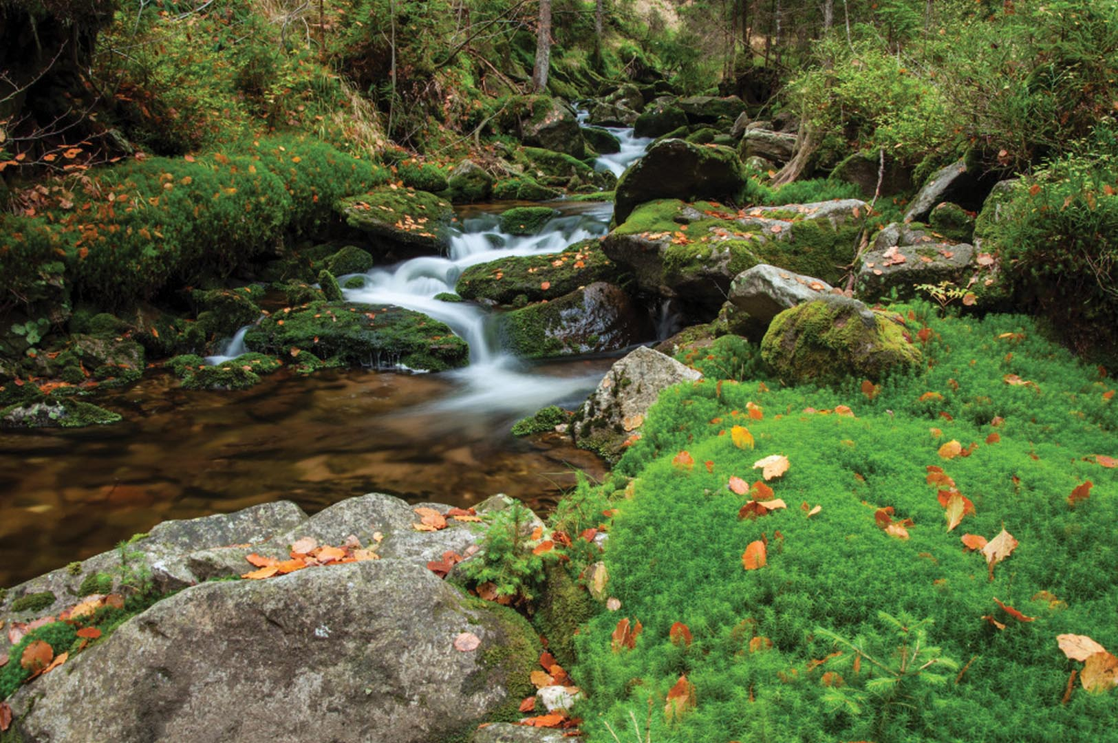 Unique Living in the National Park