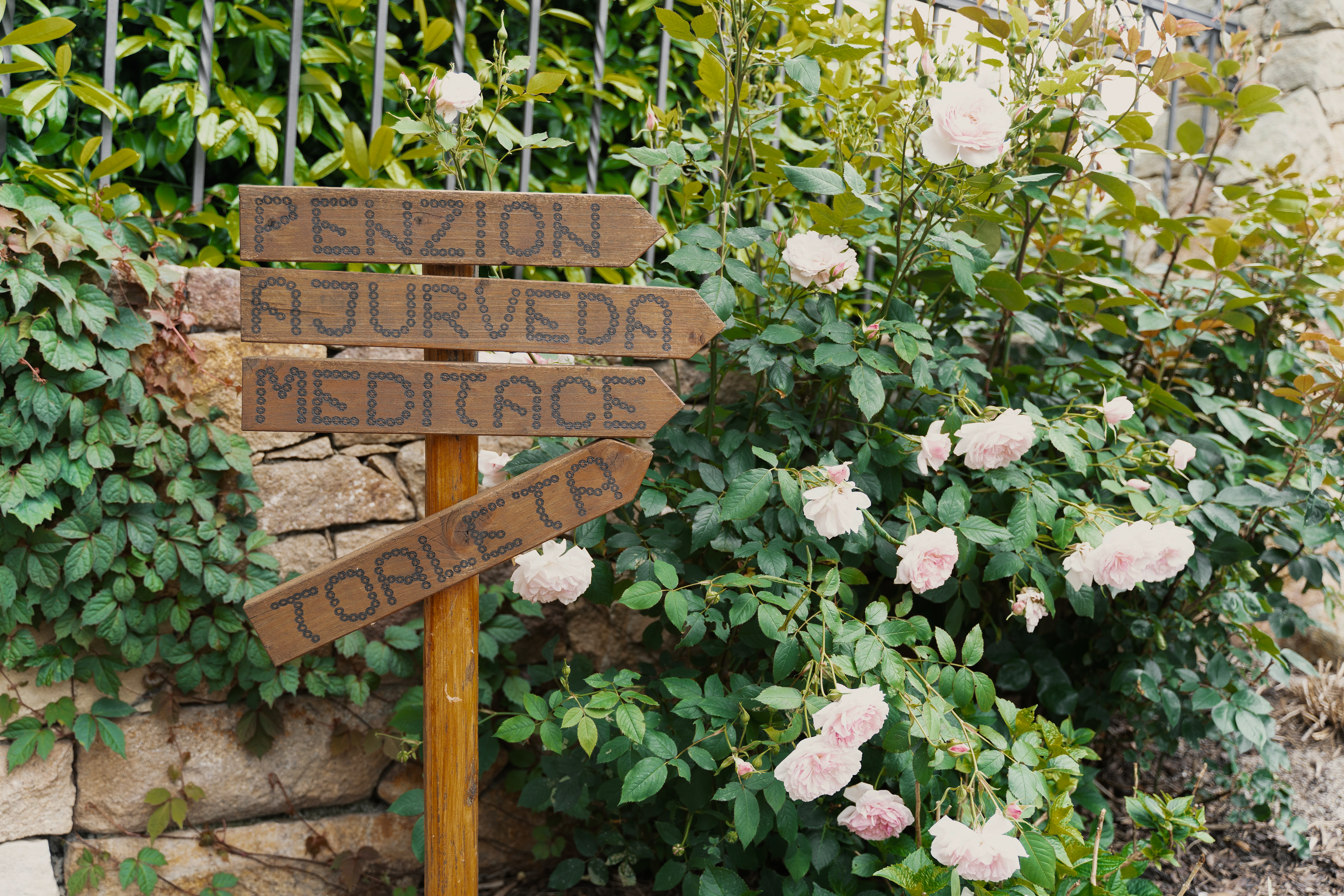 Grandma's garden is moving the kitchen